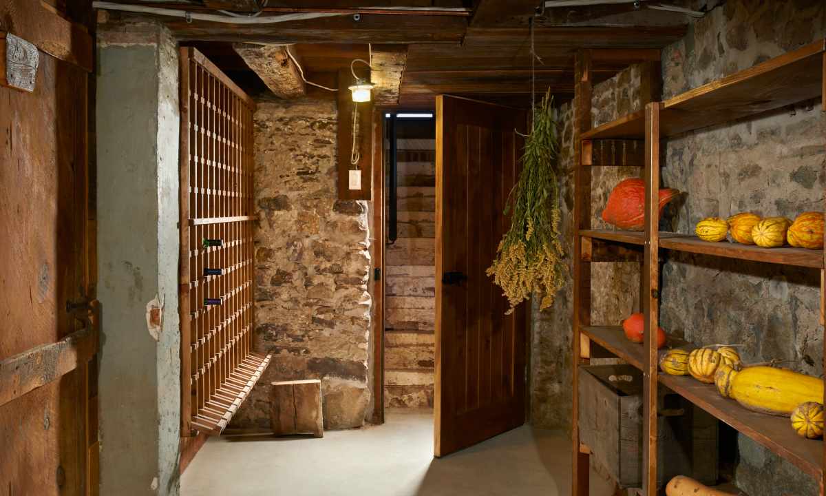 How to make cellar on personal plot